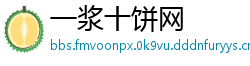 一浆十饼网